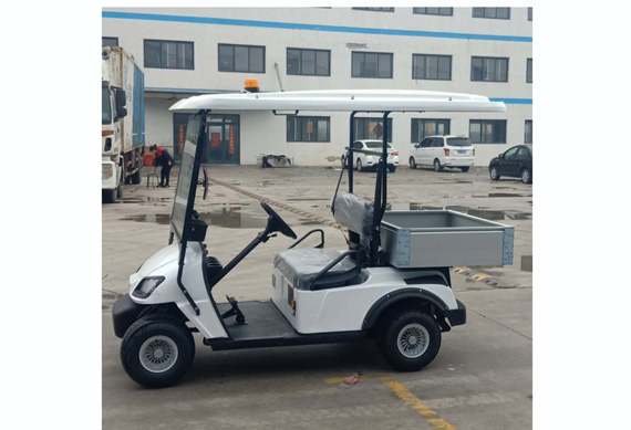 New design Golf Buggy with high quality