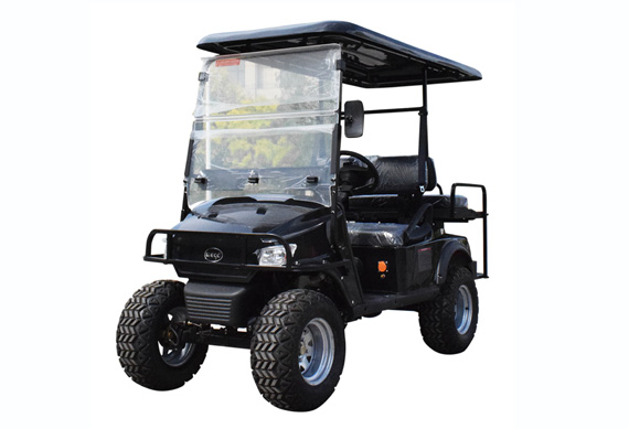 New design Golf Buggy with high quality