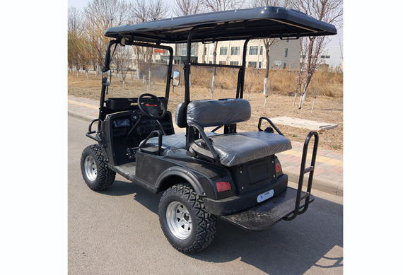 New design Golf Buggy with high quality