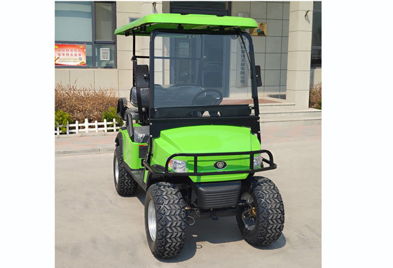 New design Golf Buggy with high quality