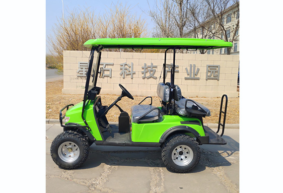 New design Golf Buggy with high quality