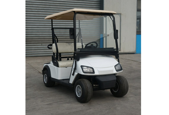 Cheap chinese 2 seater small golf cart