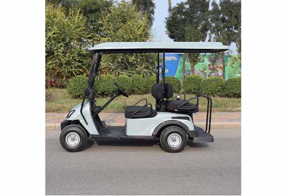 Cheap chinese 2 seater small golf cart