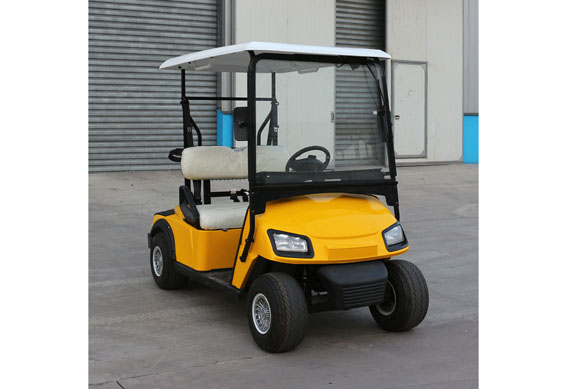 Cheap chinese 2 seater small golf cart