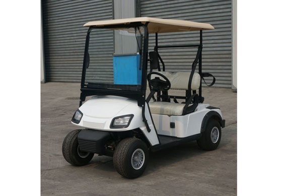 Cheap chinese 2 seater small golf cart