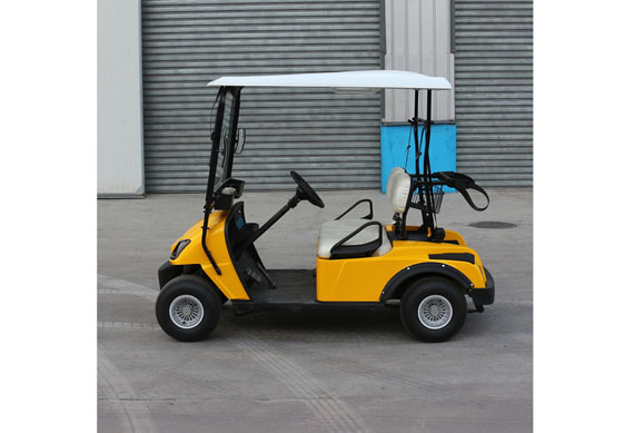 Cheap chinese 2 seater small golf cart