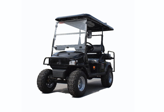 Brand new Golf Buggy with high quality