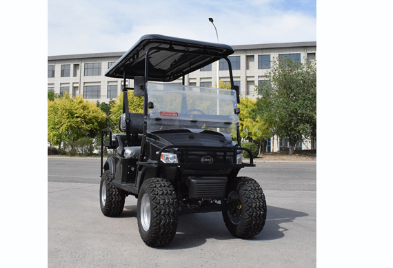 Brand new Golf Buggy with high quality