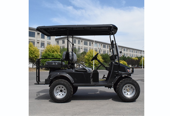 Brand new Golf Buggy with high quality