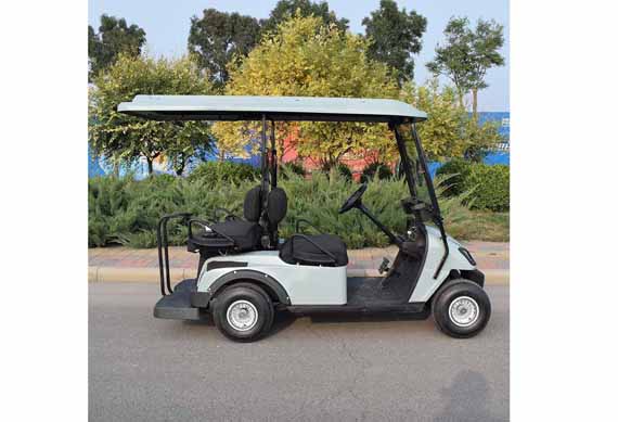 2 person electric car mini utility golf cart