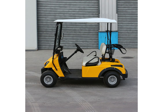 2 person electric car mini utility golf cart