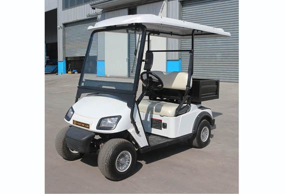 CE Approved 2 seater chinese electric golf car price