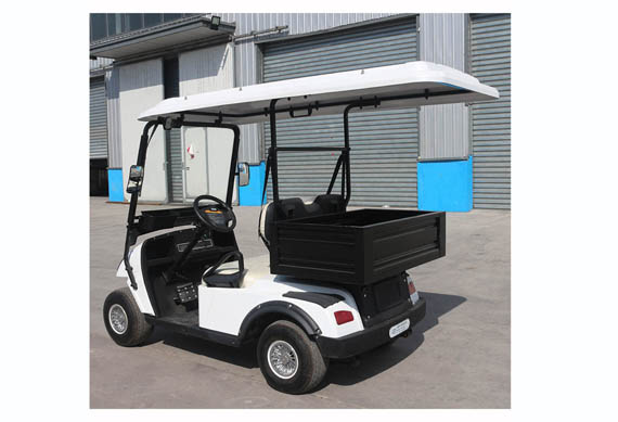 CE Approved 2 seater chinese electric golf car price