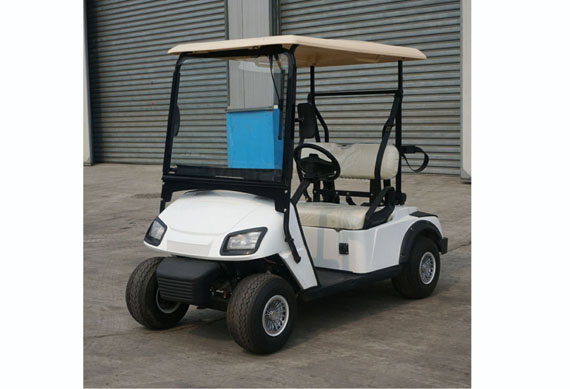 CE Approved 2 seater chinese electric golf car price