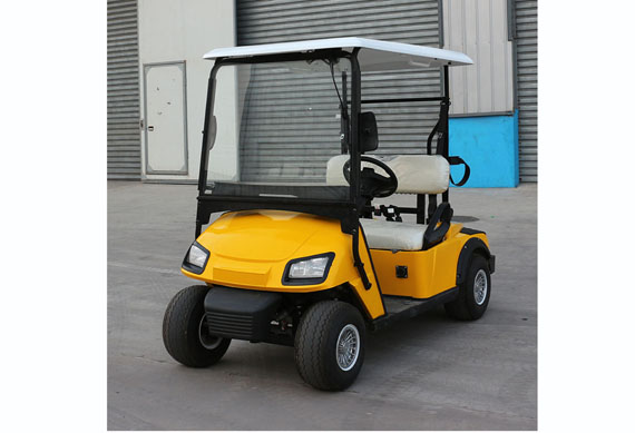 CE Approved 2 seater chinese electric golf car price