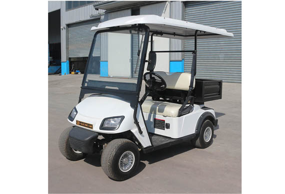 Chinese Manufacturer 2 seater electric Club Golf cart