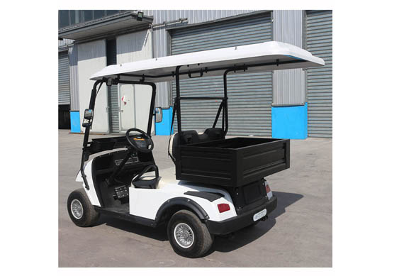 Chinese Manufacturer 2 seater electric Club Golf cart