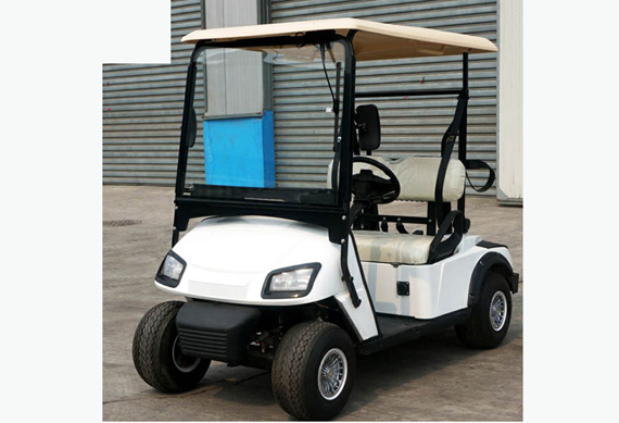 Zhongyi brand 2 seater battery powered golf cart electric utility vehicle for wholesales