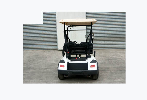 Zhongyi brand 2 seater battery powered golf cart electric utility vehicle for wholesales