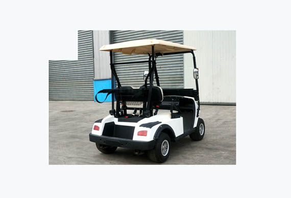 Zhongyi brand 2 seater battery powered golf cart electric utility vehicle for wholesales