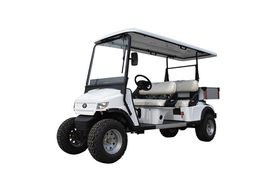 Electric lifted golf cart and golf buggy for sale