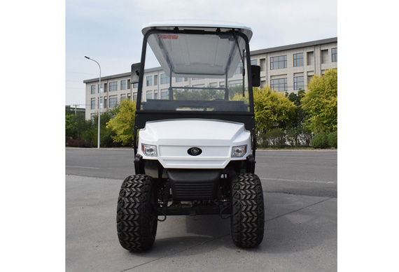 Electric lifted golf cart and golf buggy for sale