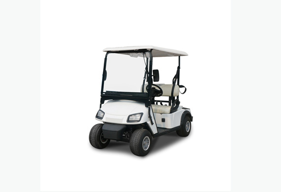 2 seater electric vehicle for golf course