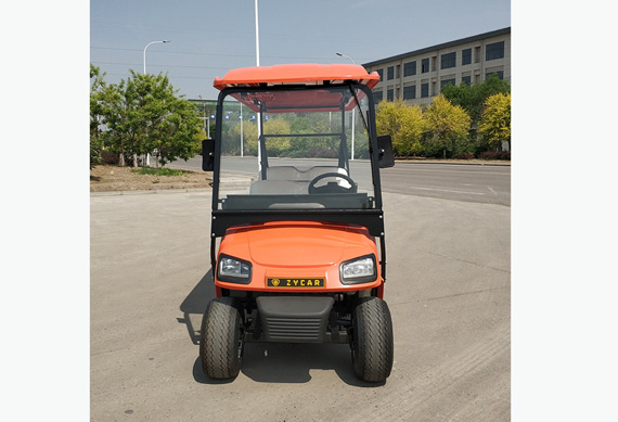 2 seater electric vehicle for golf course