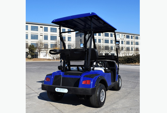 2 seater electric vehicle for golf course