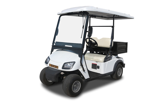 Multifunctional 2 seats electric golf cart utility vehicle with ac