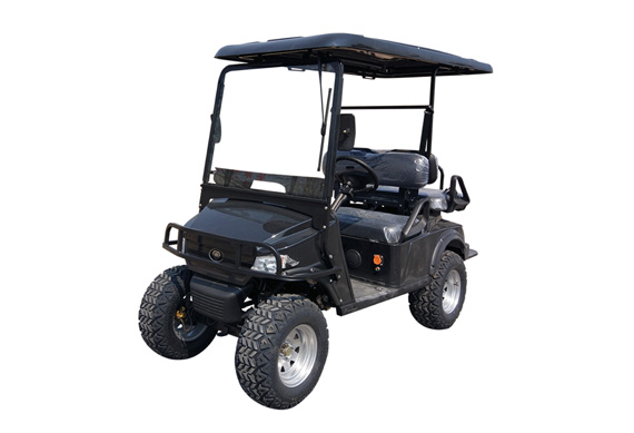 Multifunctional 2 seats electric golf cart utility vehicle with ac