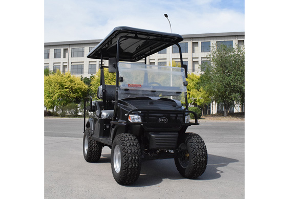 Multifunctional 2 seats electric golf cart utility vehicle with ac