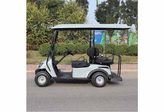 2 seater electric vehicles golf car for sale