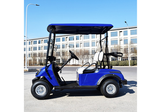 CE approved new fashion electric mini golf utility car with 2 seats