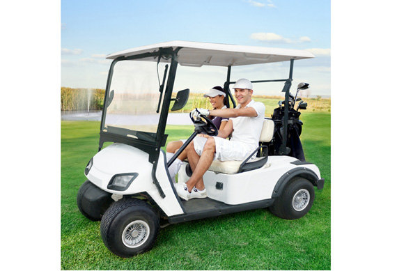 CE approved new fashion electric mini golf utility car with 2 seats