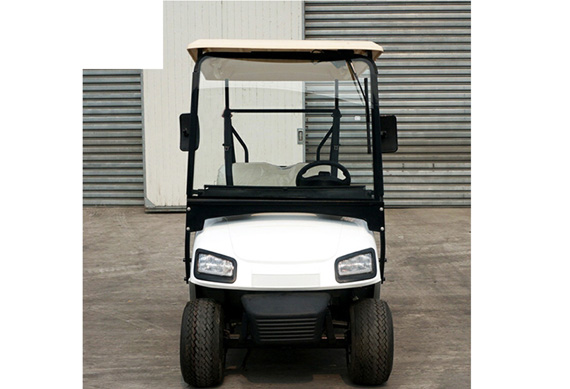 High quality 2 4 6 8 Person Electric Golf Buggy with low price