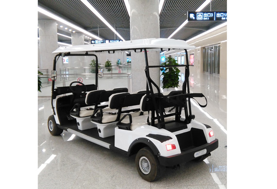 High quality 2 4 6 8 Person Electric Golf Buggy with low price