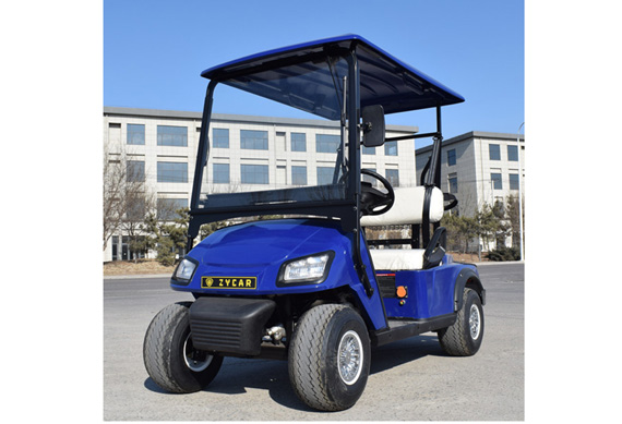 CE Approved 2 Seater Electric Golf Carts with folded back seat