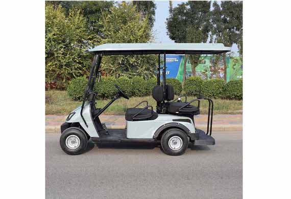 China Mini Small 2 People Seats Electric Golf Car