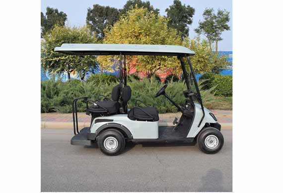 China Mini Small 2 People Seats Electric Golf Car