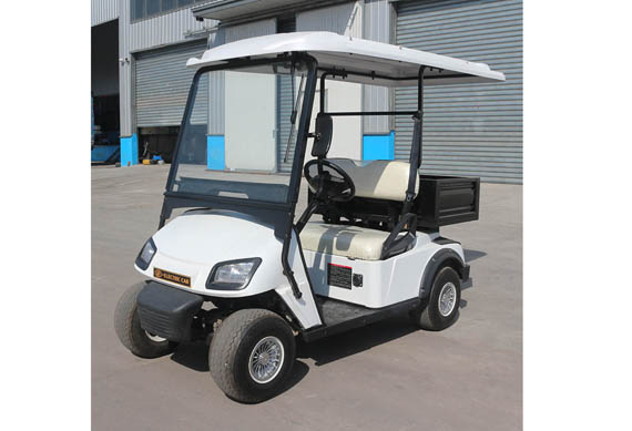 2 People 48V Electric Vehicle Golf cart With CE certification