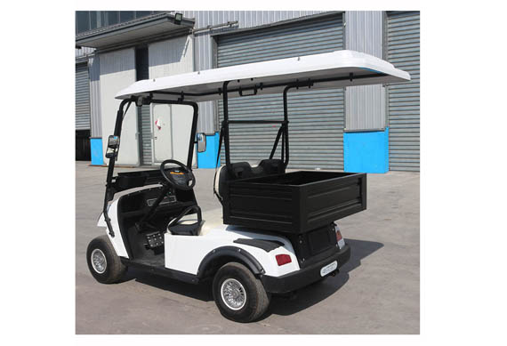 2 People 48V Electric Vehicle Golf cart With CE certification