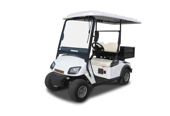 Cheap Luxury Electric Golf Buggy For Sale