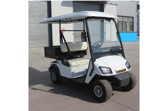 Cheap Luxury Electric Golf Buggy For Sale