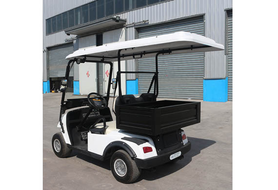 Cheap Luxury Electric Golf Buggy For Sale