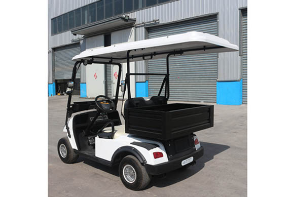 Cheap Luxury Electric Golf Buggy For Sale