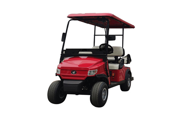 High quality 2 4 6 8 Seater Electric golf cart manufacturer and low price