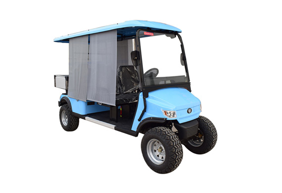 High quality 2 4 6 8 Seater Electric golf cart manufacturer and low price