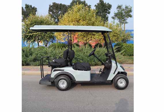 Chinese factory Custom 2 seater buggy electric golf car