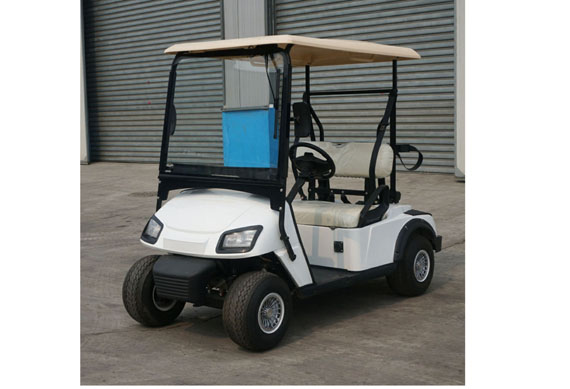 Chinese factory Custom 2 seater buggy electric golf car